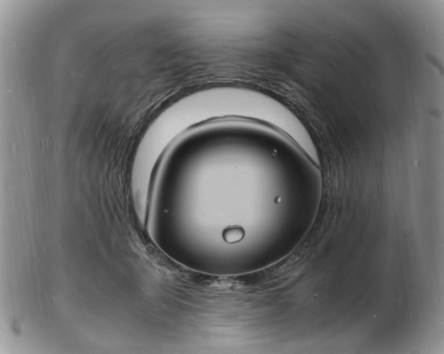 X0000102780415200809021057