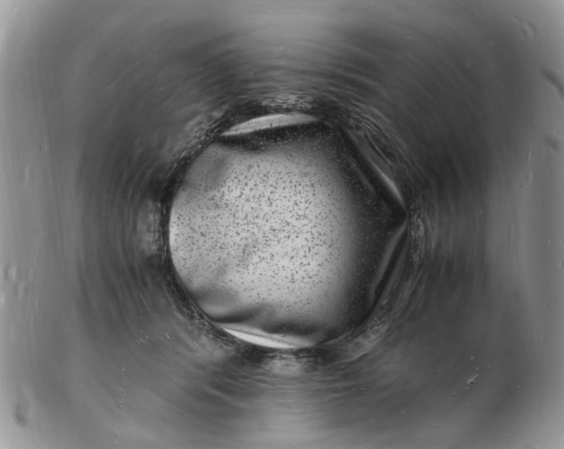 X0000102780416200809021057