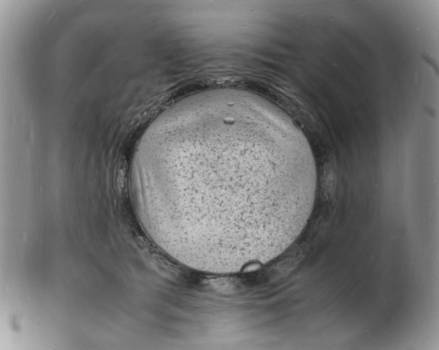 X0000102780417200809021057