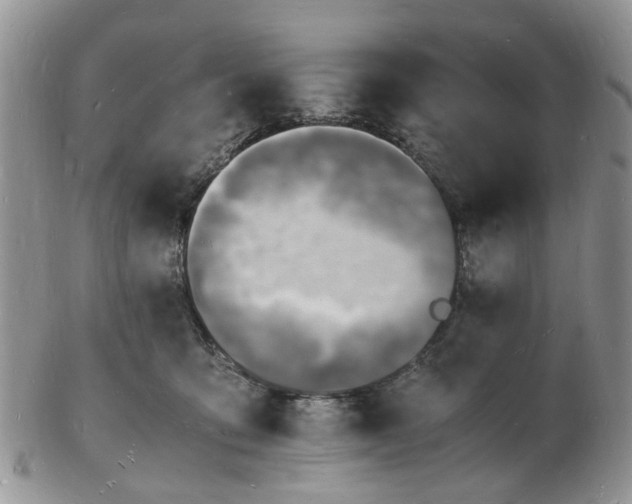 X0000102780419200809021057