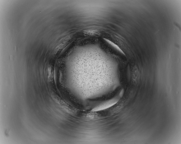 X0000102780420200809021057