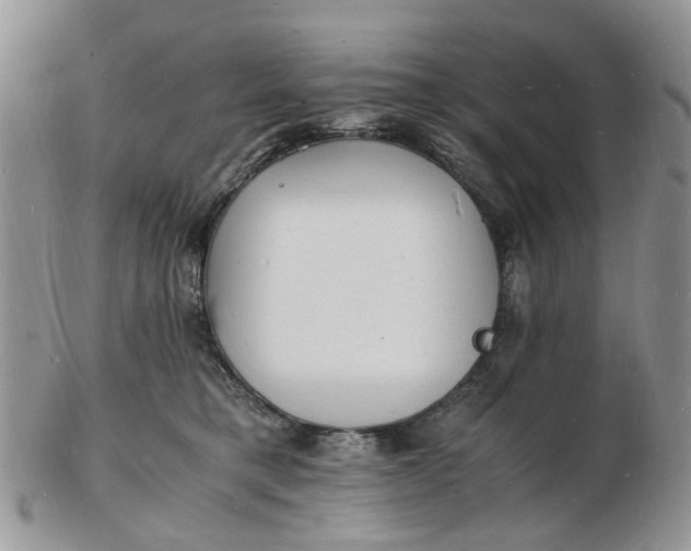 X0000102780421200809021057