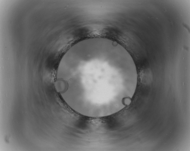 X0000102780423200809021056