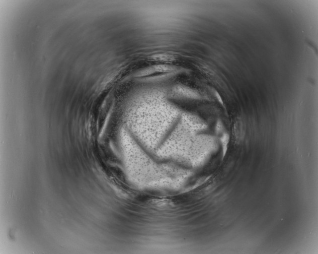 X0000102780424200809021056