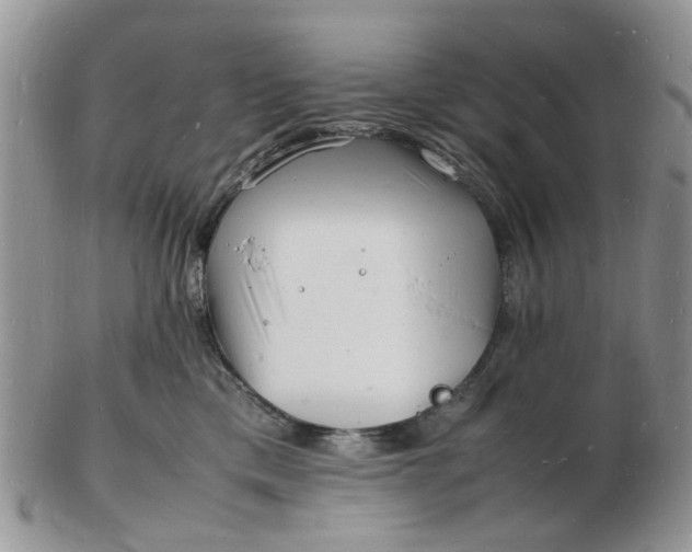 X0000102780425200809021056