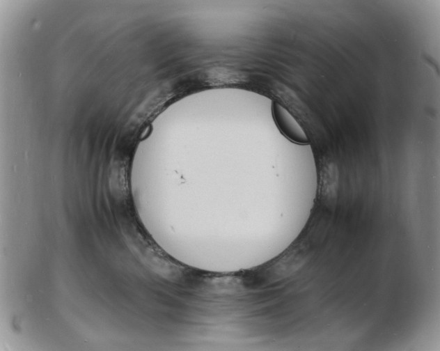 X0000102780426200809021056