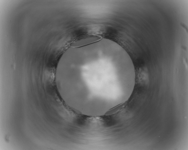 X0000102780427200809021056