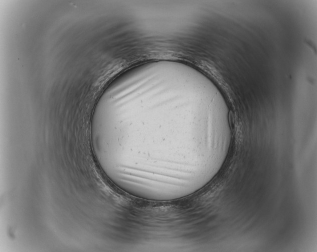 X0000102780433200809021056