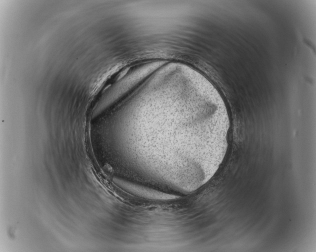 X0000102780434200809021056