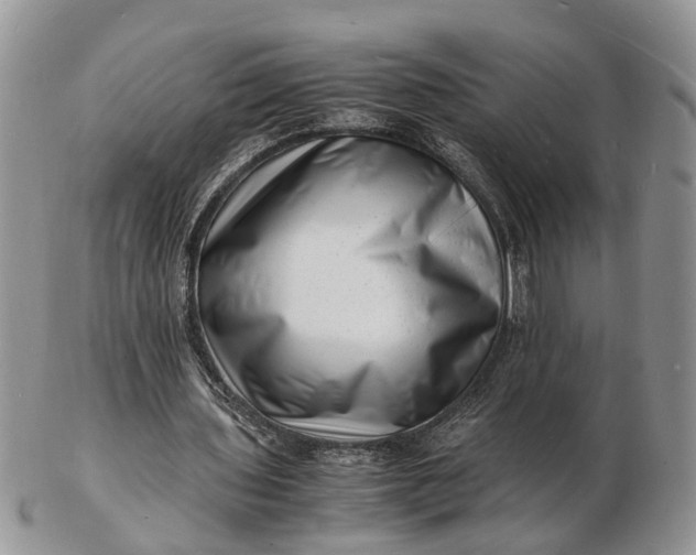 X0000102780435200809021056