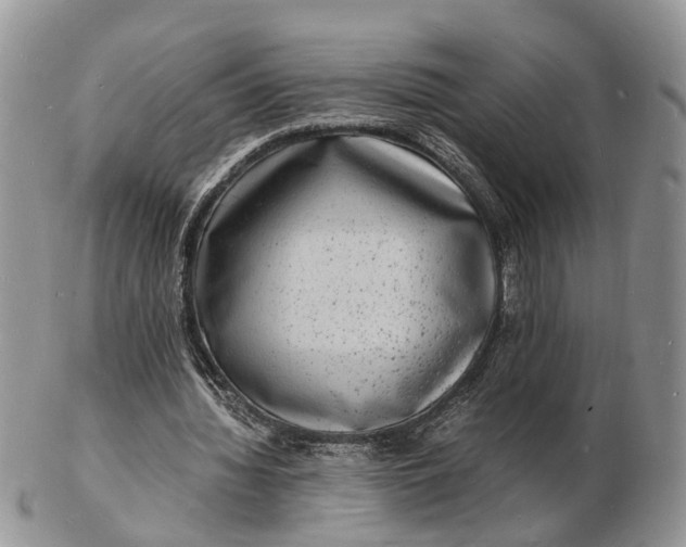 X0000102780436200809021056