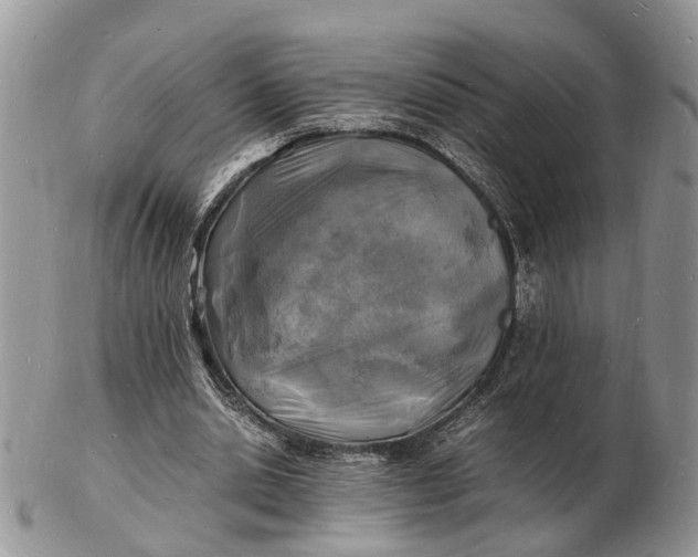 X0000102780438200809021056