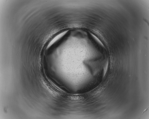 X0000102780439200809021056