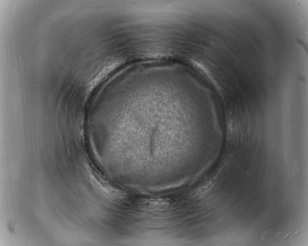 X0000102780443200809021056