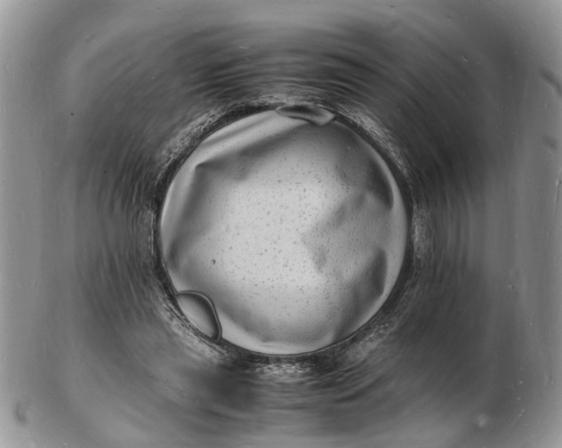 X0000102780445200809021056