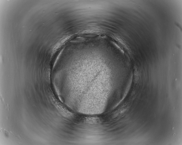 X0000102780446200809021056