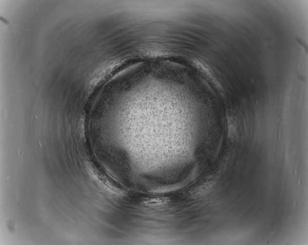 X0000102780447200809021056