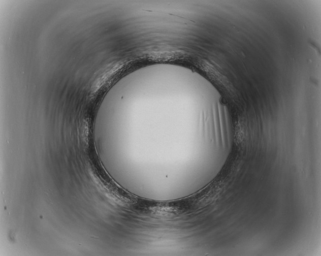 X0000102780448200809021056