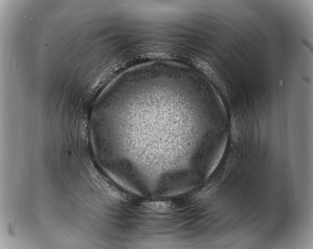 X0000102780449200809021056