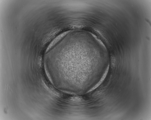 X0000102780451200809021056