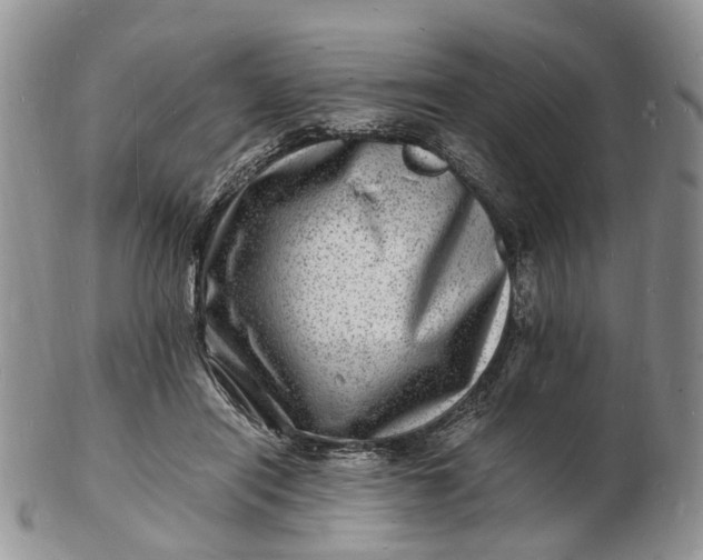 X0000102780454200809021056