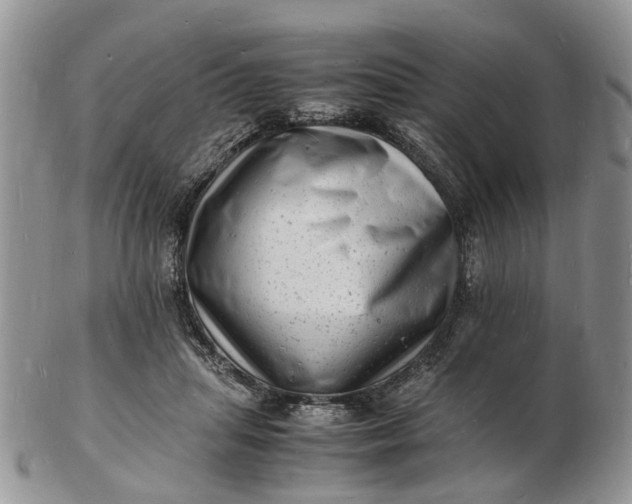 X0000102780455200809021056