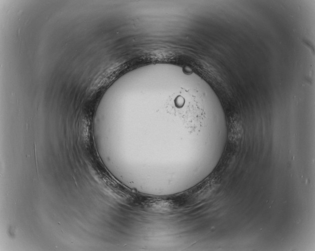 X0000102780456200809021056