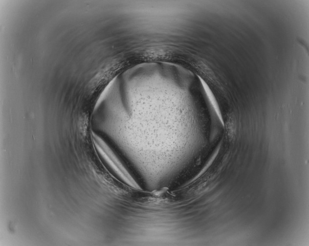 X0000102780458200809021056