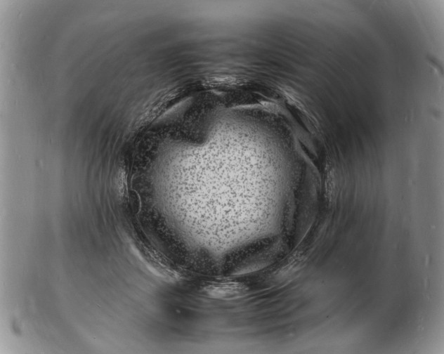 X0000102780459200809021056