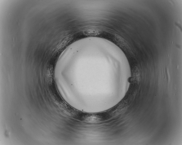 X0000102780460200809021056