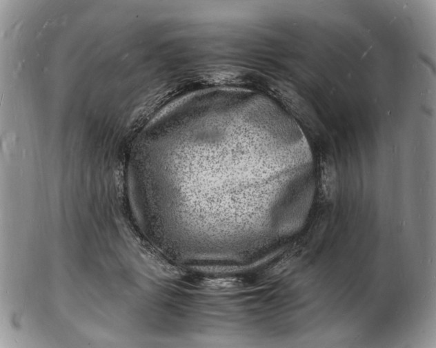 X0000102780461200809021056