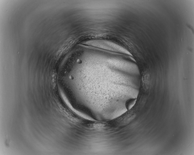 X0000102780462200809021056