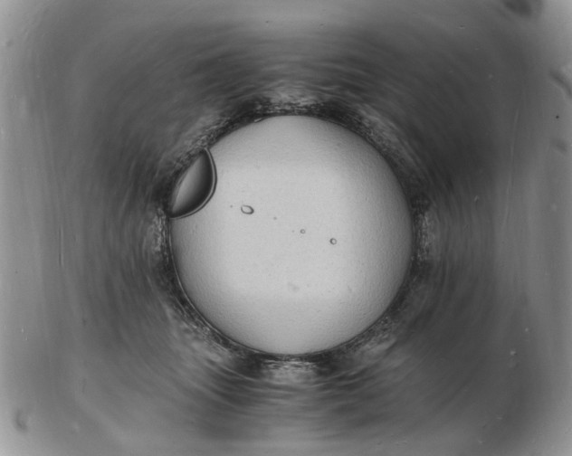 X0000102780463200809021056