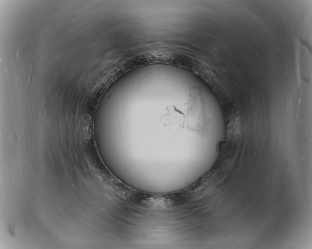 X0000102780464200809021056