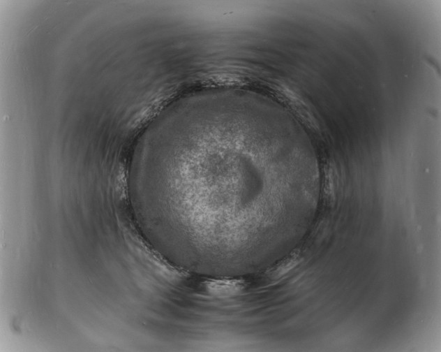 X0000102780465200809021056