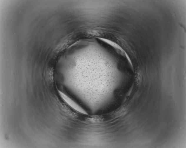 X0000102780466200809021056