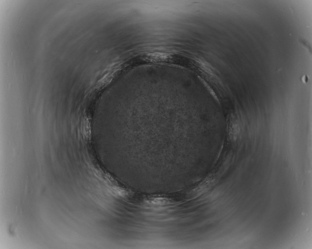 X0000102780467200809021056