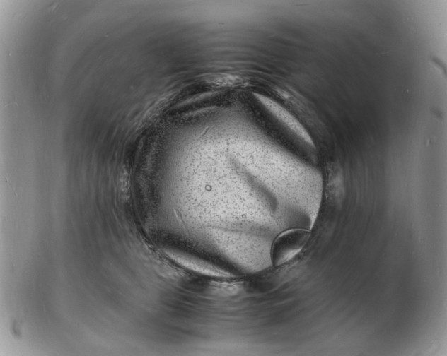 X0000102780469200809021056