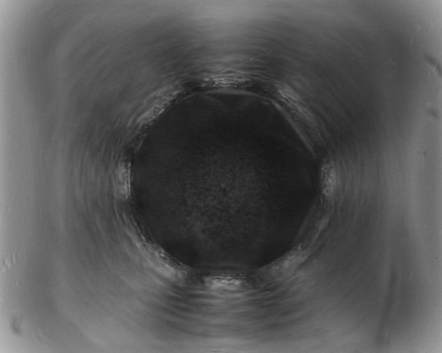 X0000102780471200809021056