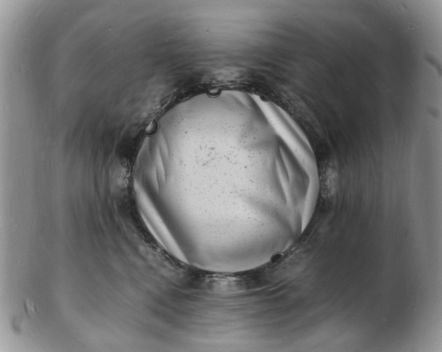 X0000102780472200809021056