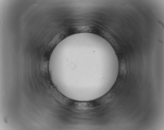 X0000102780473200809021056