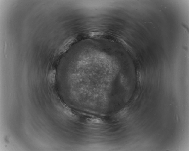 X0000102780475200809021056