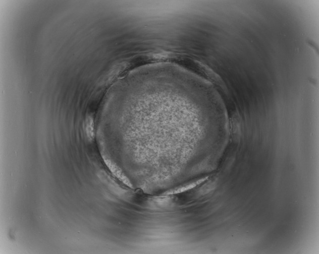 X0000102780479200809021056