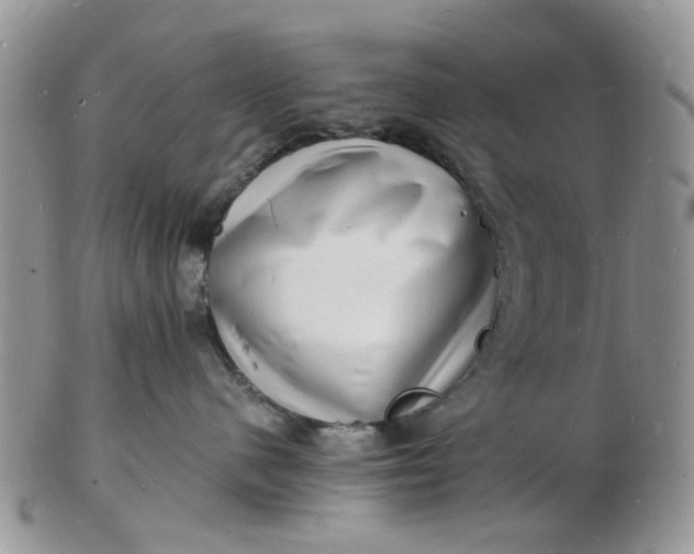 X0000102780480200809021056