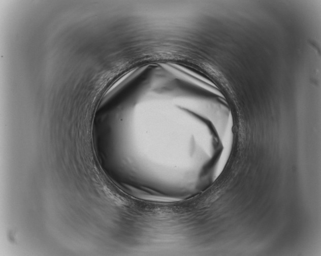 X0000102780481200809021056