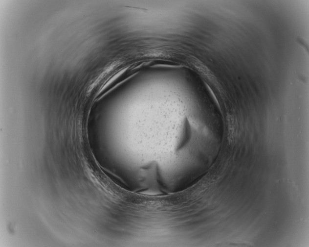 X0000102780482200809021056