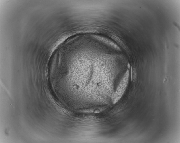 X0000102780483200809021056