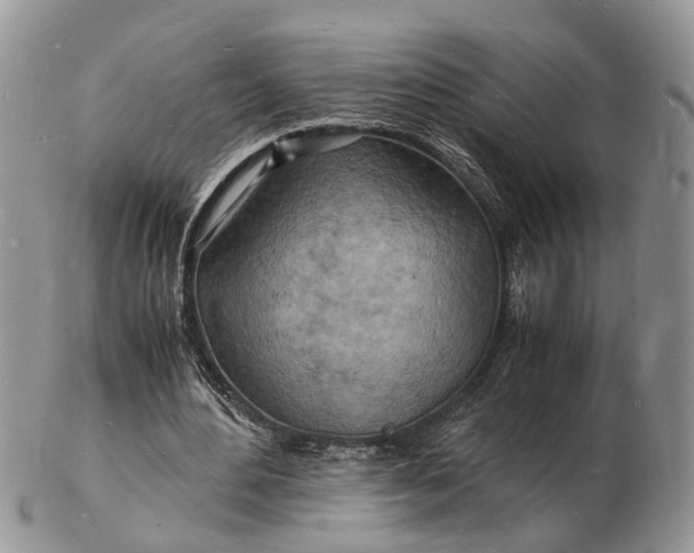 X0000102780484200809021056