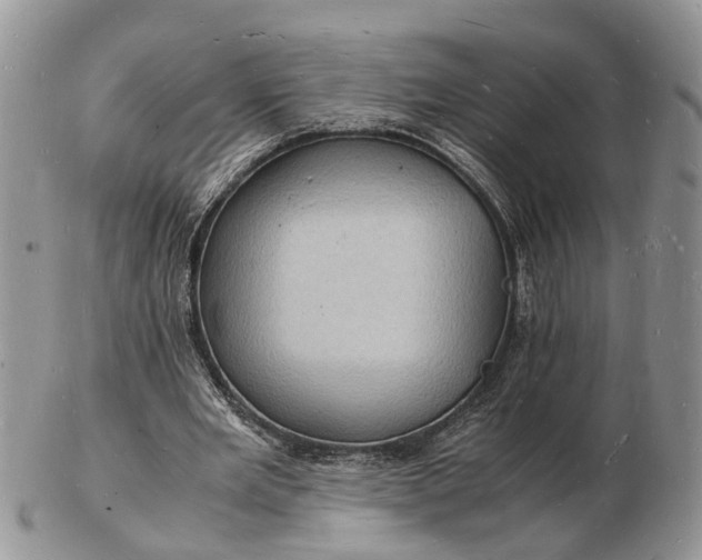 X0000102780485200809021056