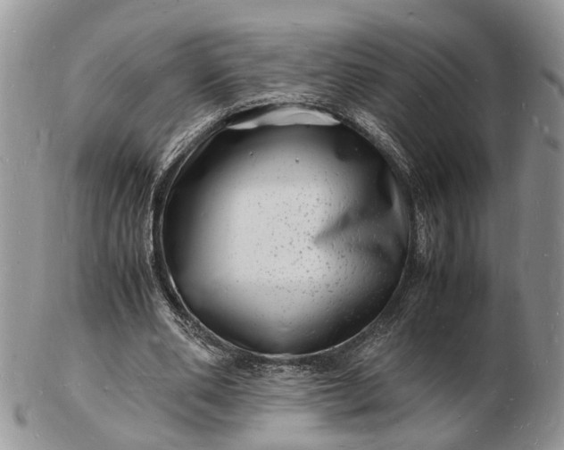 X0000102780486200809021056